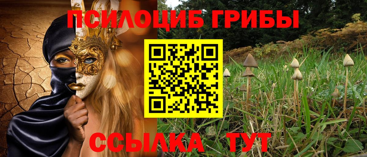 Галлюциногенные грибы GOLDEN TEACHER Серпухов