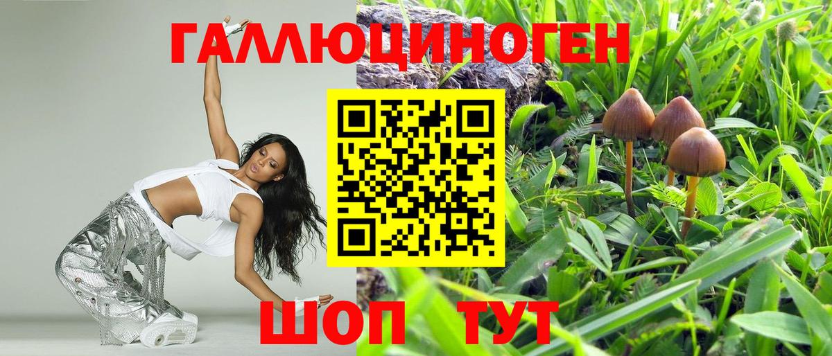 Псилоцибиновые грибы Psilocybe  Вход с VPN  Серпухов 
